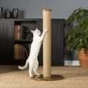 Kitty Power Paws Tall Round Scratching Post